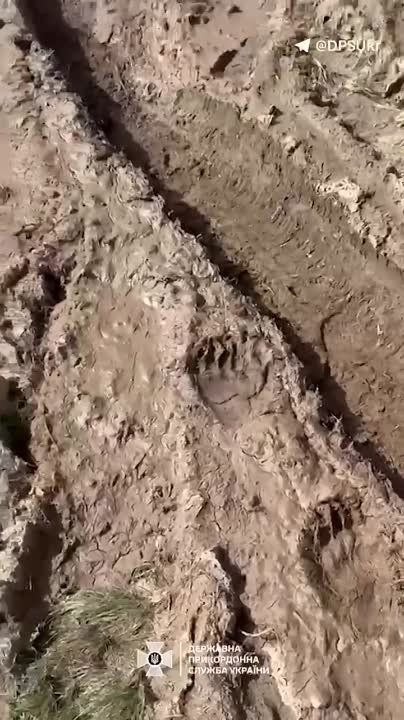 ������������ ���������� ���������� ������������� ��������