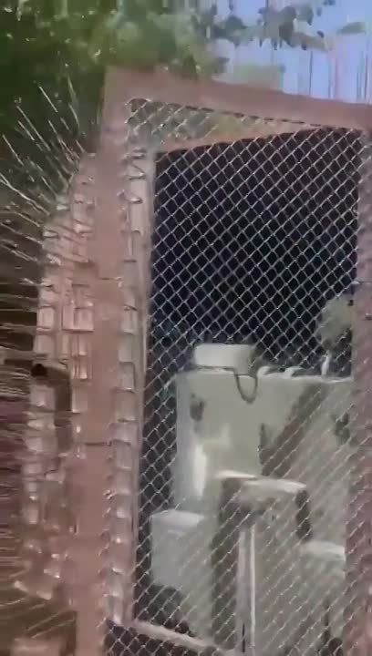 �������� ����, ������ ��������/����/��������/������