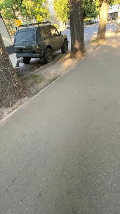 �� ������� ����������� ���� ������������ �������