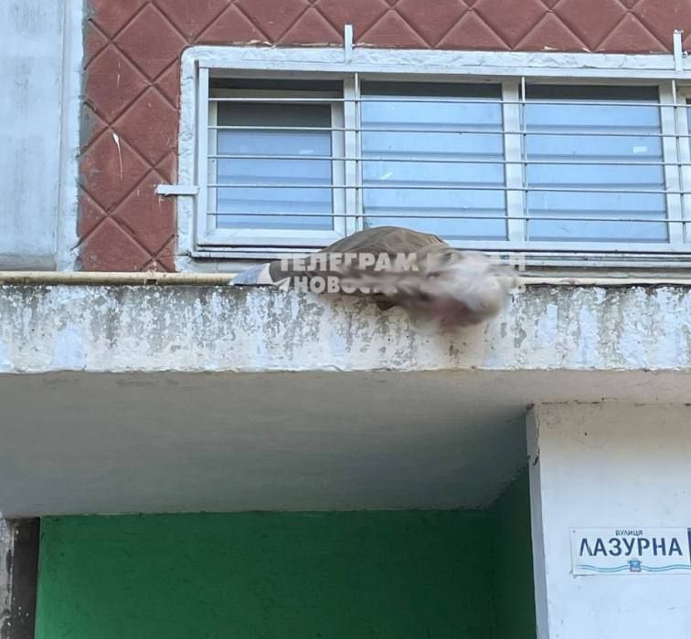 � ��������� ��������� ���������� �� ����