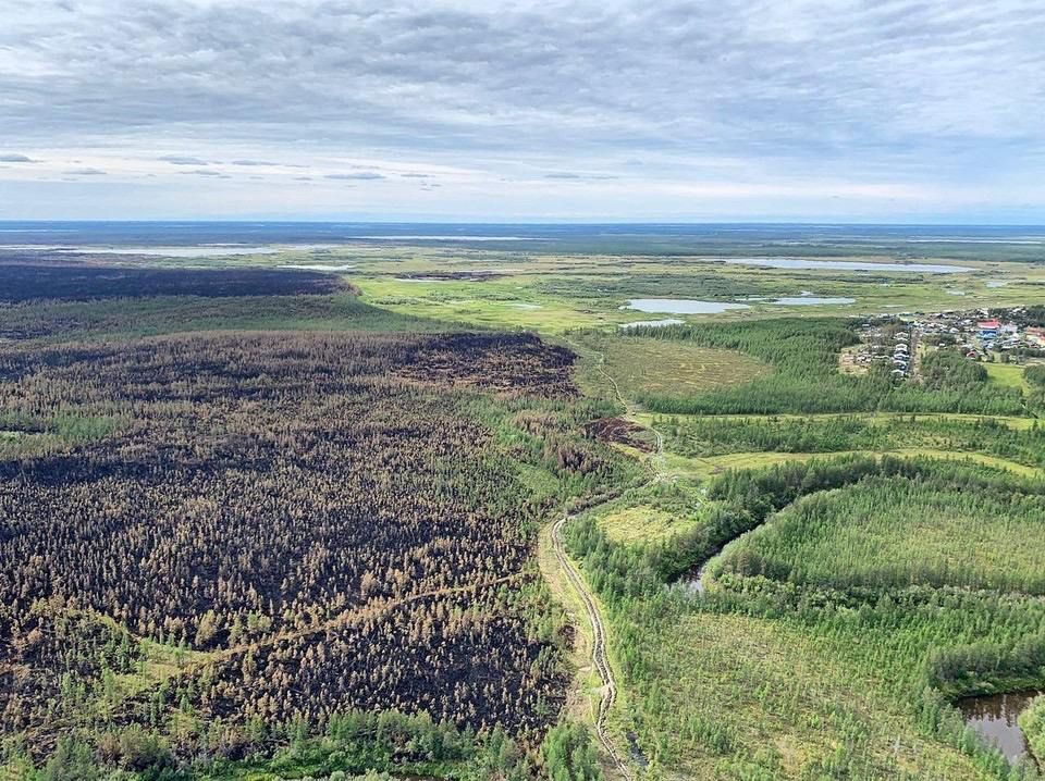 ��������� ������� ����� ��������� 95% ������ ������� � ������