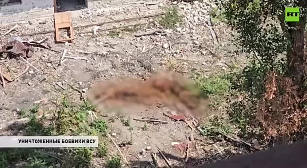 ������� RT ������ ������� ������� ������������� ������� ������ �������������