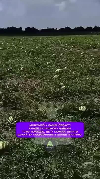 ������ ���� ����� 2022 ���� ����, ��� �������� ��� ���������� ����������
