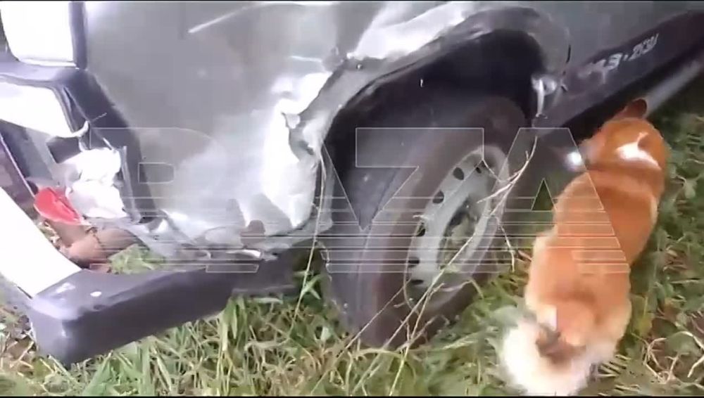 �� ���������� ������� ������� ����� ����� ��. ��� ������� ���� ���������� ����������� ������ �� ���������� ������� ��������� ���, ������� ���� ����������� �������