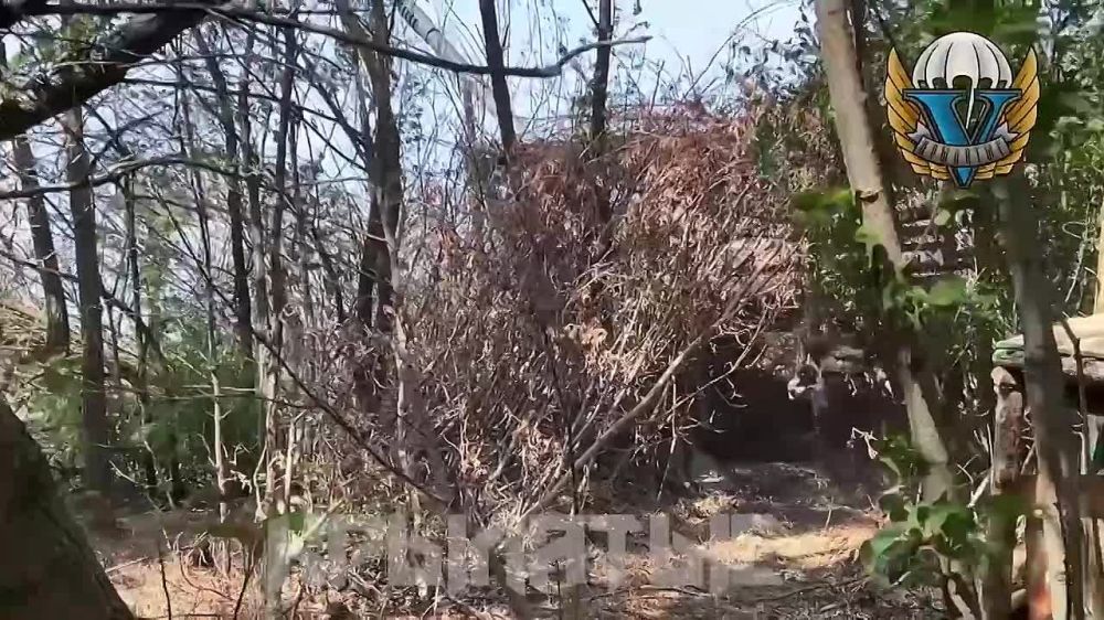 ������� � ���, ��� �������� ����� �� �� �� ���������� �����������