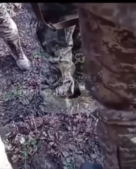 ��������� ������������ � ��������������