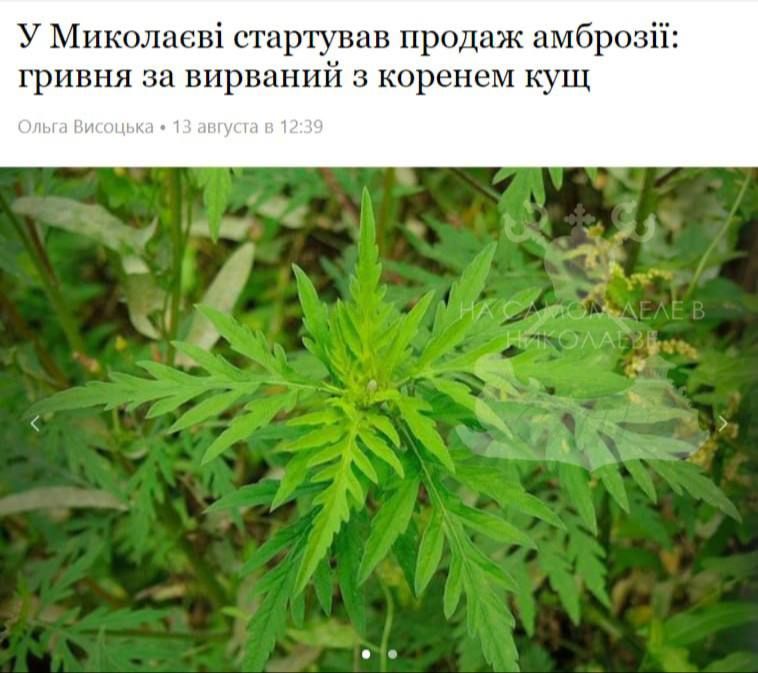 ��������� ������ ������ ������� �������� � ���������