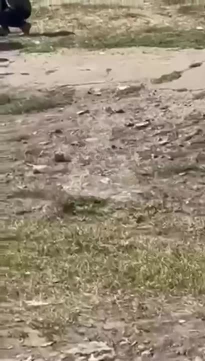 �� ����� �� �����!. �� ���� ��� ������, ������� � ��� ������ ������ ��������� ������