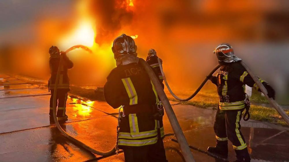 ������� ���� �� �������: � ������� �������� � ����� � ������ �������