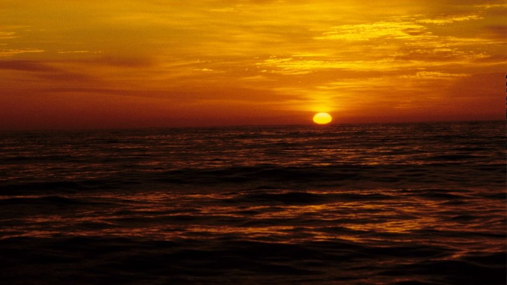 Сальдо: в Очакове иностранцы готовят десант ВСУ для форсирования Днепра