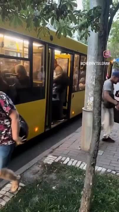     ,  &quot;        