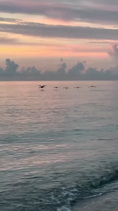 �������:. ��������� �������� ������� ������������ ������ � ������, � ����������, ������� ��� ����� �����, �� ��������