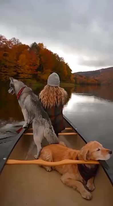 ������ ����, ������!. ��������� ����������� � �������������� ��� ���!