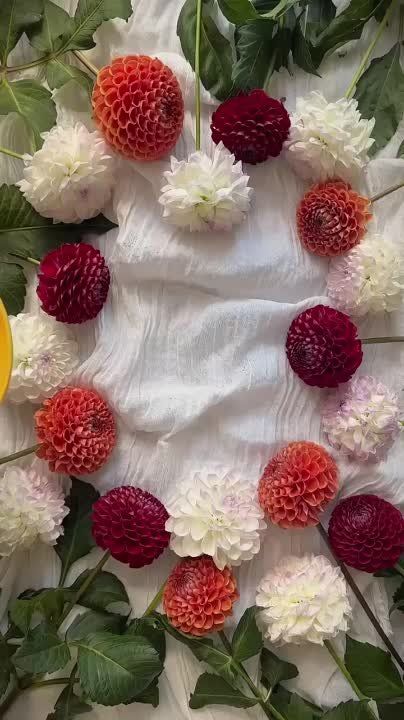  , !.      !     :