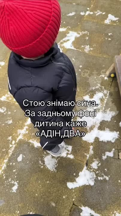 "��������������" ���������� �� ��������