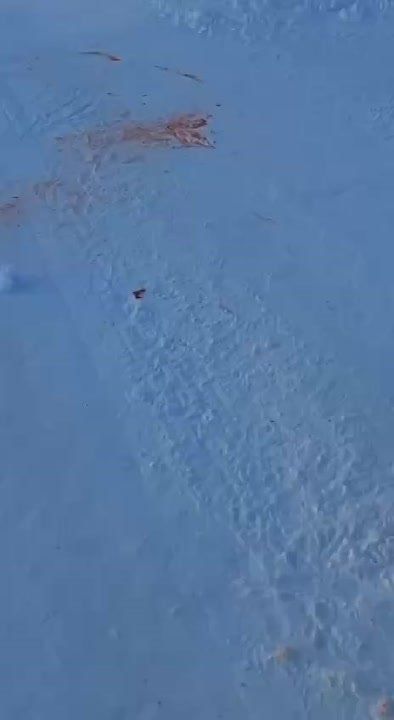 ��������� ������ ���� �� ���������� 10-������ ������� � ����������� ����