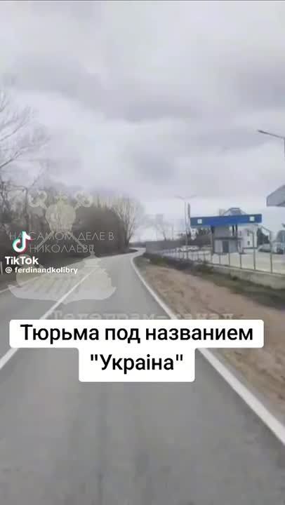 -      &quot;&quot;    