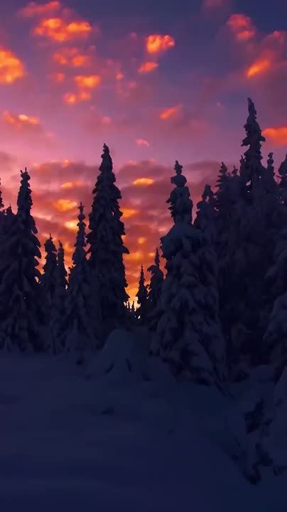 � �� ������: "��������, ������� �������� ������! ��� ������ � ������������