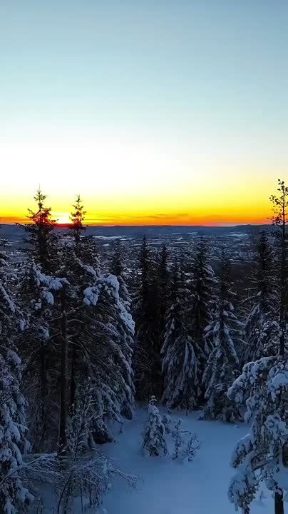 ������ �� ��������� �� ������������ ��������� ����� � ���������� �������