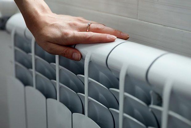 ����� ������������ ��� ���: 44 ���� � ��������� �������� ��� ��������������