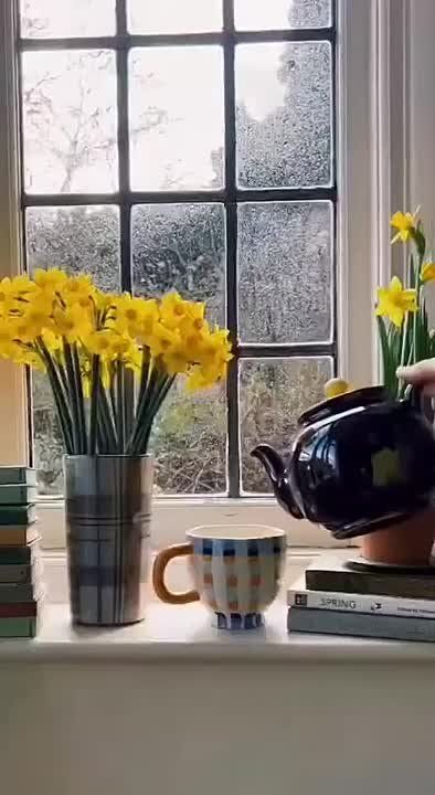 ������ ����, ������!. ��������� ����������� � �������������� ��� ���! ������ � ��������� � �������: