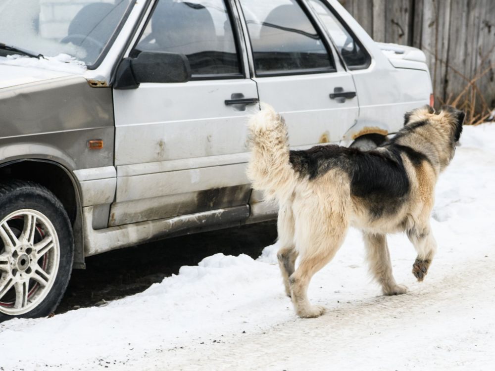 ������� ������� ������ ����� �� ��������� ��������� �����