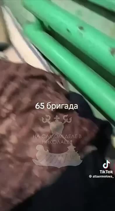   65- 