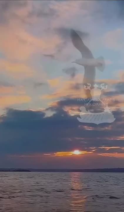 �� ������ ��������� ��� � ���� ������� ����������� ���������, ����� ��������� ���������� �� ����������� �����