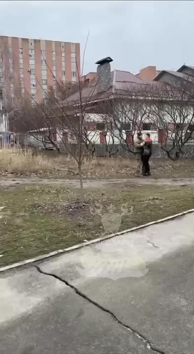 ������ �����. ������� � ��������� � ������� �������� ������� ����������� �������� ��������, �������� ����� �� ��� ��� ������ � �����