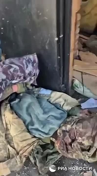 , ,                         