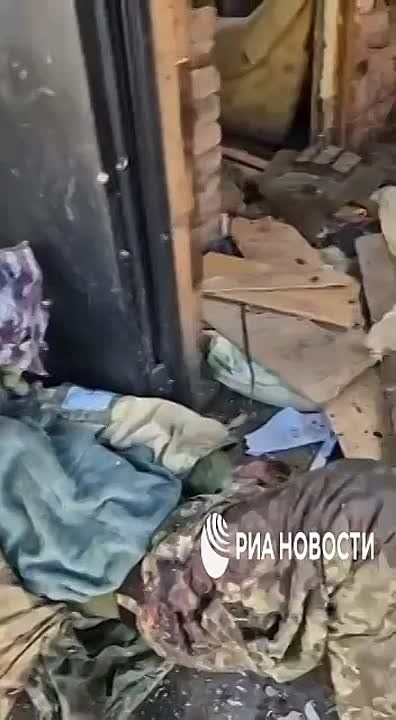 , ,                         ,     ...