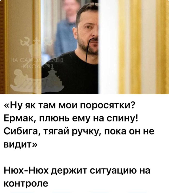 ����-������� �������� � ���� �����������, ������� ������ ���������� ����� ��� � ��������