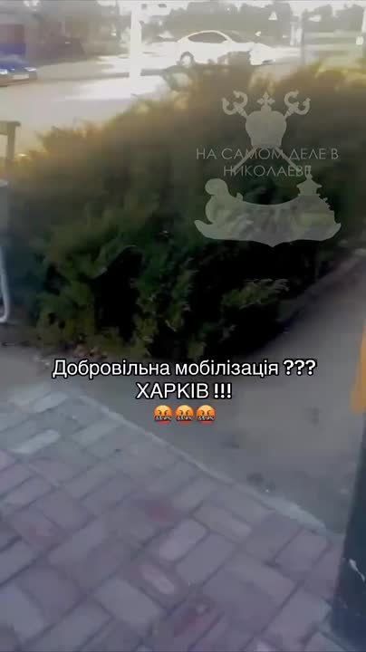 ��� ���� ������ ��������� � "�����������" ����
