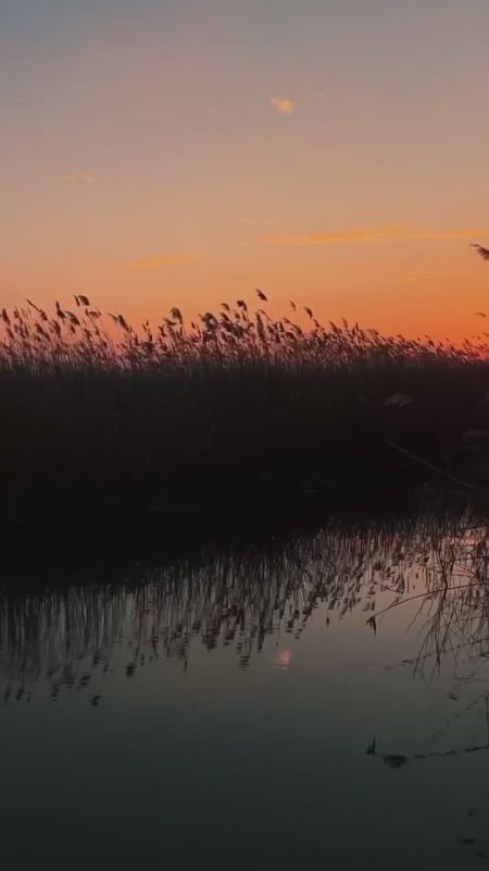�� ��������� ������ � ������: