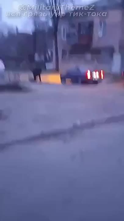 ��������� ������ ����������� �� �������