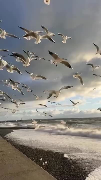       59   14