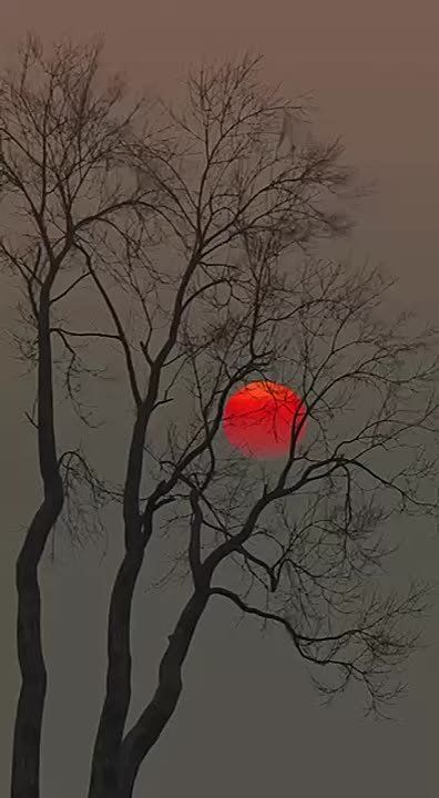 � ���� ������� ������ � �������, ����� ����� �������� ��������� ���������� � ������-��������� � �������� ��� �������� ������ ����