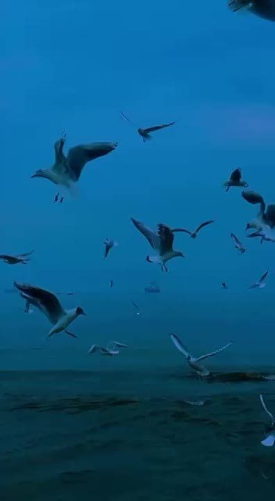    ,       -          