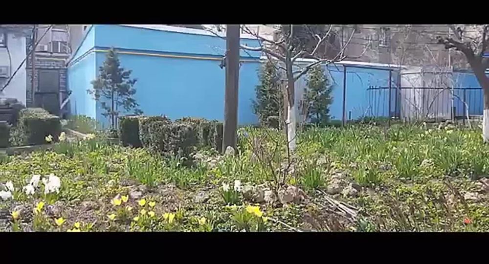 �����-���������� �������� ���� �. ���������