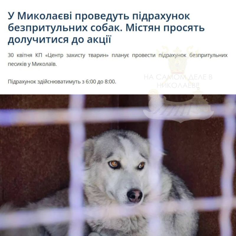 � ��������� ����� ����������� ��������� �����