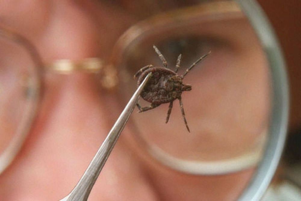 ����� 15 ���. ������� ���������� � ������ ��-�� ������ ������