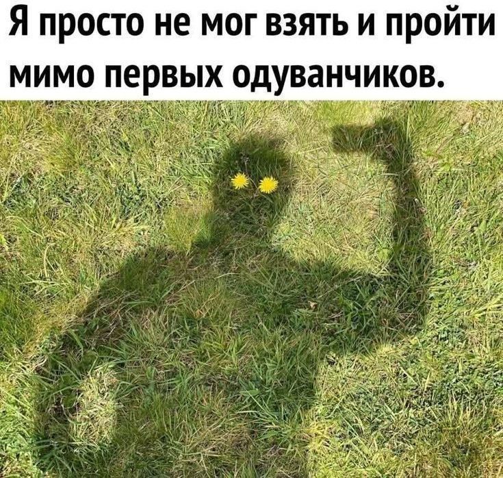   ... ... ...  