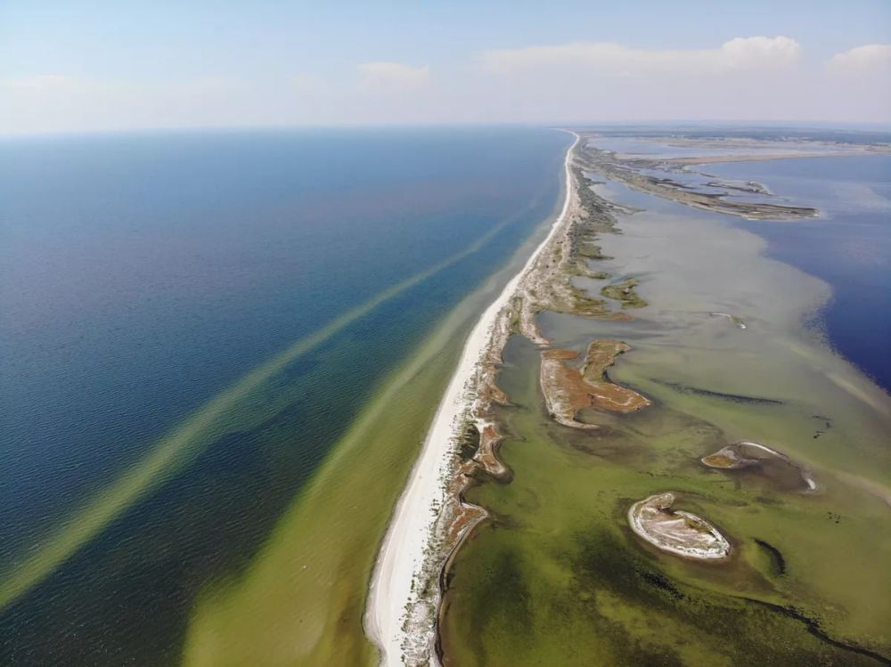 Кинбурнская коса — вот чем она важна для России