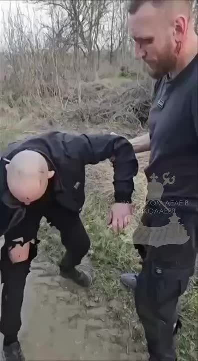     &quot;, &quot; ,    