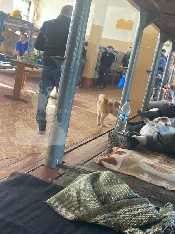 &quot;&quot;  