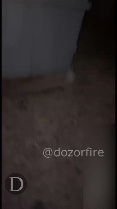  (D):      