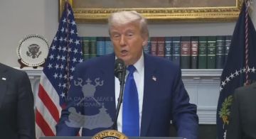 Трамп заявил о готовности полететь в Турцию, если там будут Путин и Зеленский
