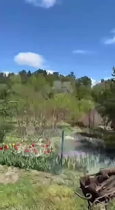     6.  