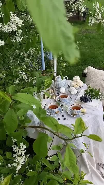  , !.      !     :