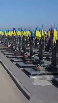 Вертикальные кладбища.. Из-за катастрофической нехватки мест под захоронения ВСУшников, на Украине разрабатываются концепции вертикальных кладбищ в больших городах